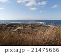 草むらから見える磯の景色 21475666