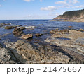 磯と海 21475667