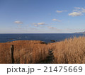 草原と穏やかな海 21475669