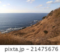 海と海岸の丘 21475676