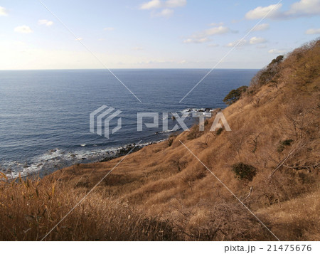 海と海岸の丘 海と海岸の丘 21475676
