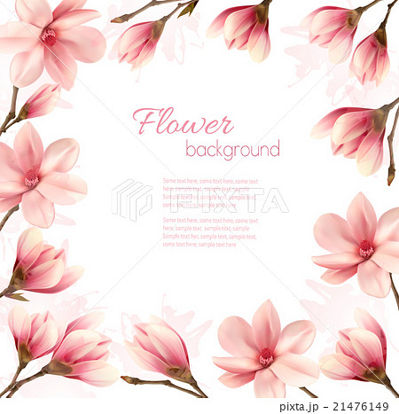 Frame made out of magnolia flowers. Vector. 21476149