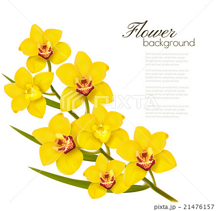 Holiday yellow flowers background. Vector. Holiday yellow flowers background. Vector. 21476157