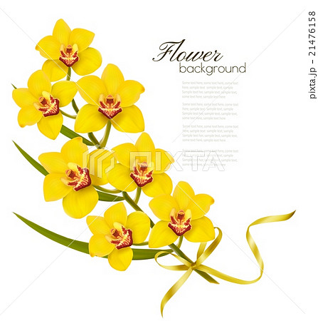 Holiday flowers background with yellow orchids Holiday flowers background with yellow orchids 21476158