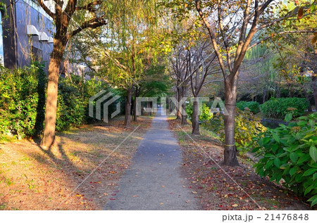 京都　伏見濠川遊歩道 21476848