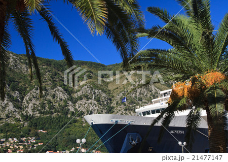 liner "Minerva" through the leaves of palm 21477147