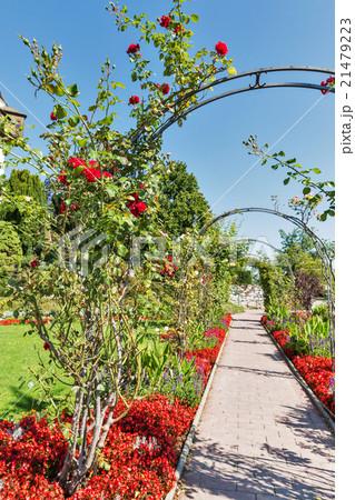 Schlossberg park flowerbed in Graz, Austria Schlossberg park flowerbed in Graz, Austria 21479223