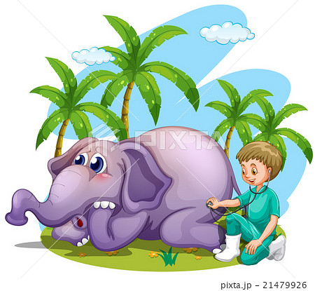 Vet examining elephant in the park 21479926