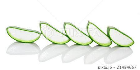 aloe vera fresh leaf. isolated over white 21484667