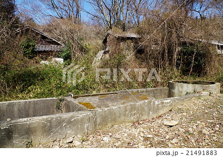 藪と廃村 21491883