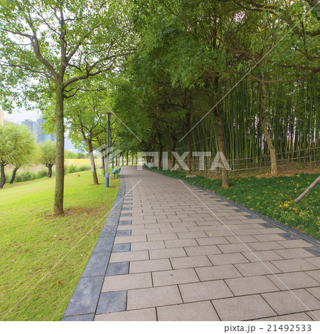 .Parks and corridors of trees 21492533