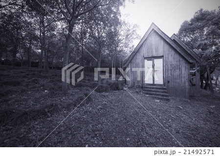 Horror Forest house 21492571