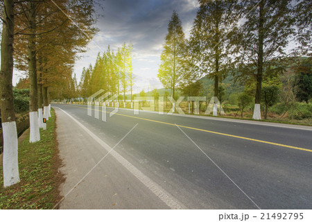 Sunset forest roads Sunset forest roads 21492795