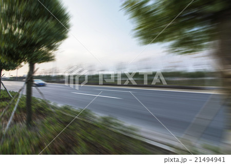 Forest road Forest road 21494941