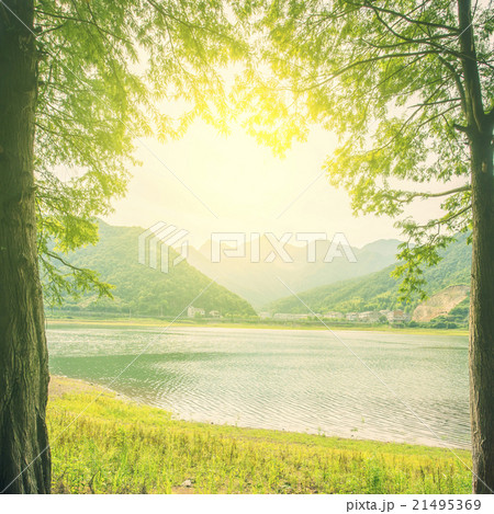 Sunset river woods Sunset river woods 21495369