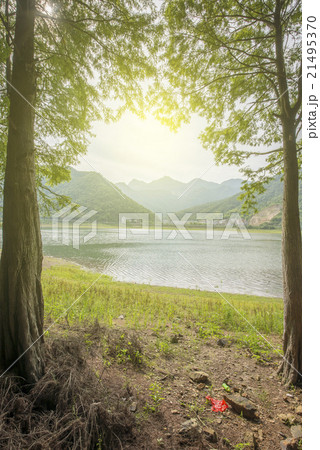 Sunset river woods 21495370