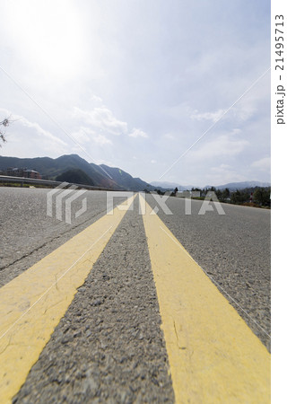 forest roads 21495713