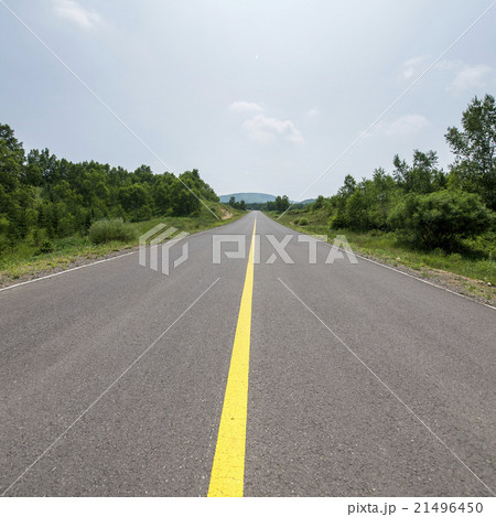 Woods road background 21496450