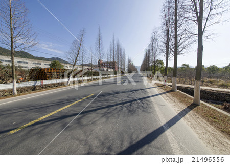 Rural forest road Rural forest road 21496556