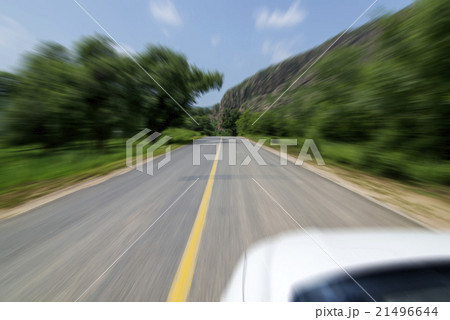 Forest road 21496644