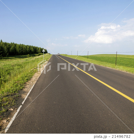 Woods road background 21496782