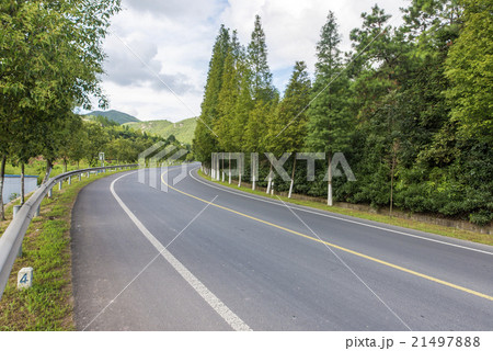 Forest road 21497888