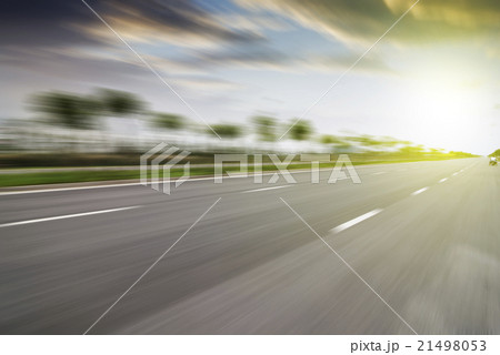 Forest road 21498053