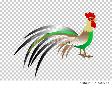 酉年年賀素材 オナガドリ 酉年年賀素材 オナガドリ 21500743