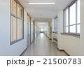 学校　廊下 21500783