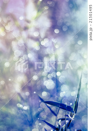 Natural abstract bokeh from bamboo leaf. Natural abstract bokeh from bamboo leaf. 21501495