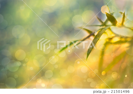 Twinkling lights blurred bokeh abstract background 21501496