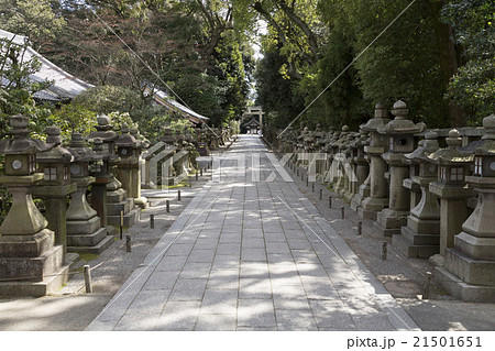 石清水八幡宮の石灯籠群 21501651