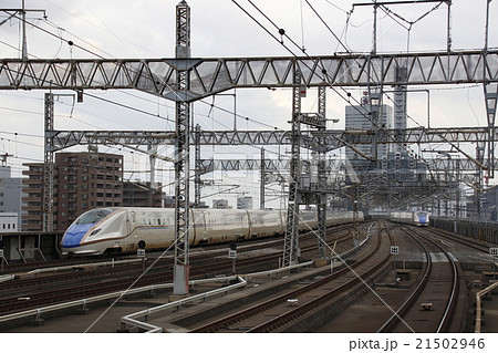 北陸新幹線E7系 21502946