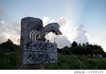 沖縄 鳩間島 おーりたぼーり 沖縄 鳩間島 おーりたぼーり 21503125