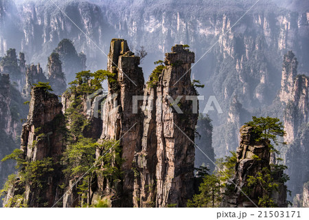 Zhangjiajie National Forest Park, Hunan, China Zhangjiajie National Forest Park, Hunan, China 21503171
