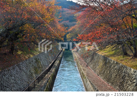 琵琶湖疏水 琵琶湖疏水 21503228