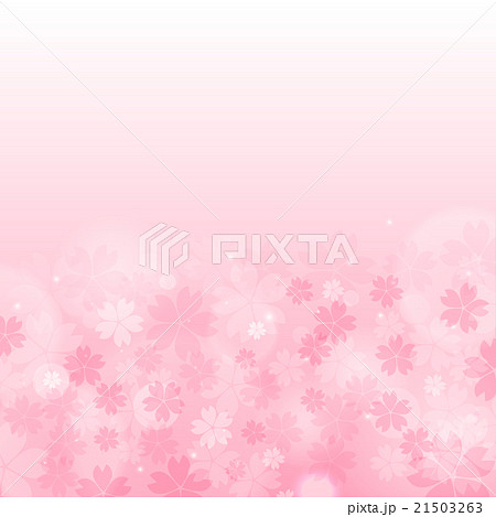 桜　背景　ピンク 21503263