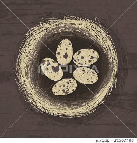 Eggs in nest on wooden texture Eggs in nest on wooden texture 21503480