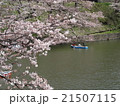 桜 21507115