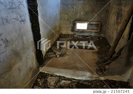 友ヶ島 椿 21507245