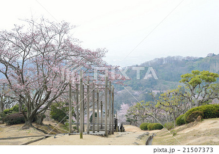 倉敷種松山公園西園地の桜 21507373