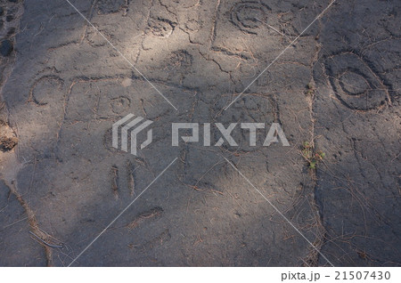 キングス・トレイル 21507430