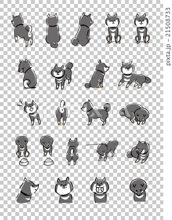 Shiba Inu illustration 21508733