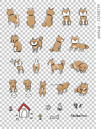柴犬　イラスト 21508734
