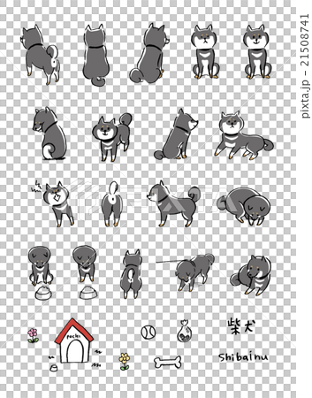 Shiba Inu illustration 21508741