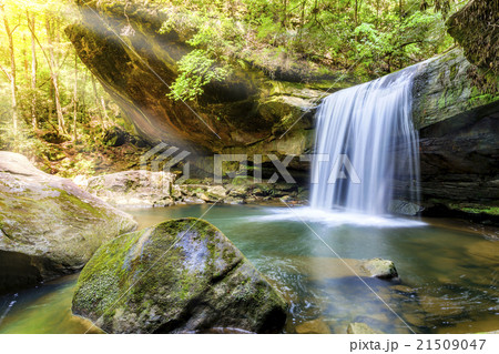 Dog Slaughter Falls 21509047