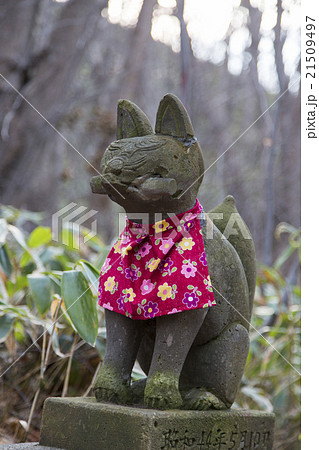 狛狐 狛狐 21509497