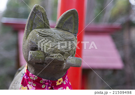 狛狐 狛狐 21509498