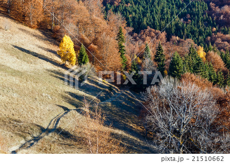 Rural road on autumn mountain slope. Rural road on autumn mountain slope. 21510662
