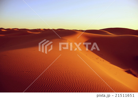 Desert 21511651
